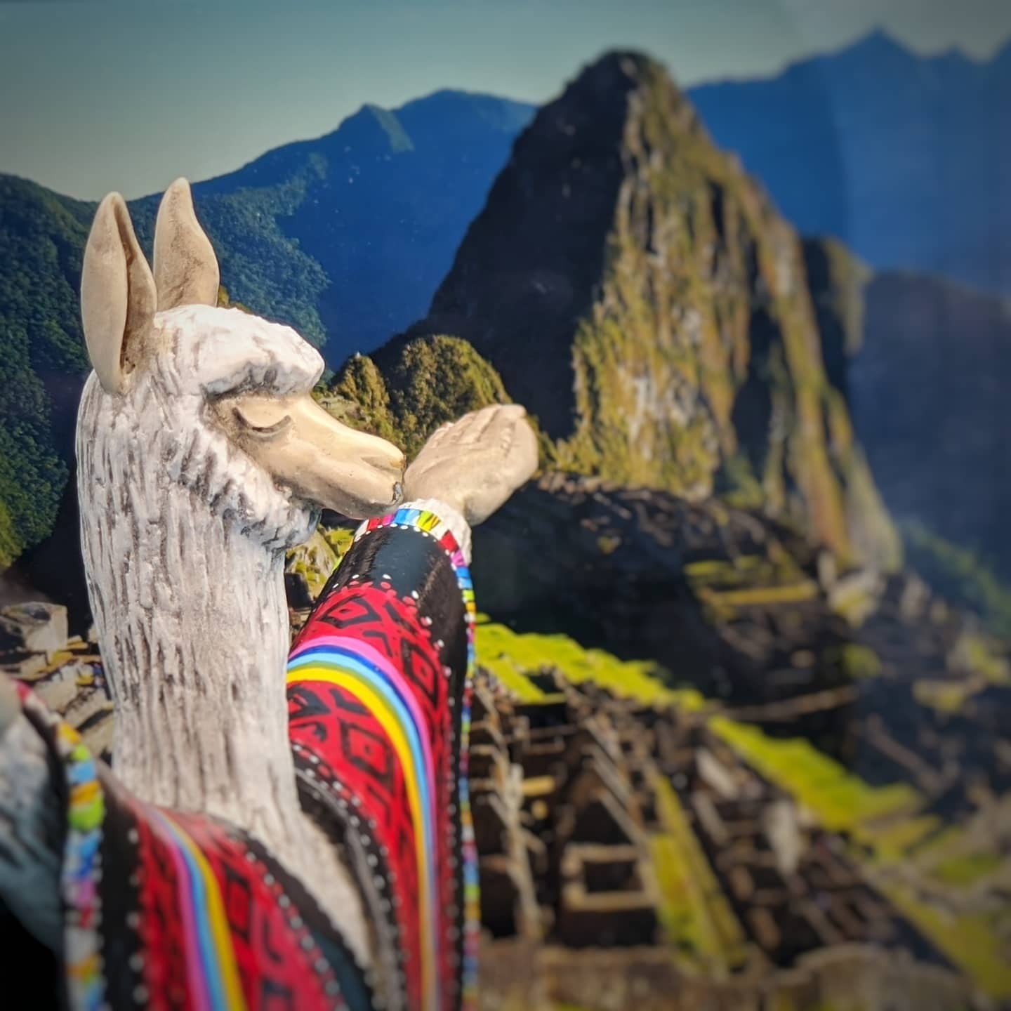 andean-alpaca-spirit-statue-sculpture-10